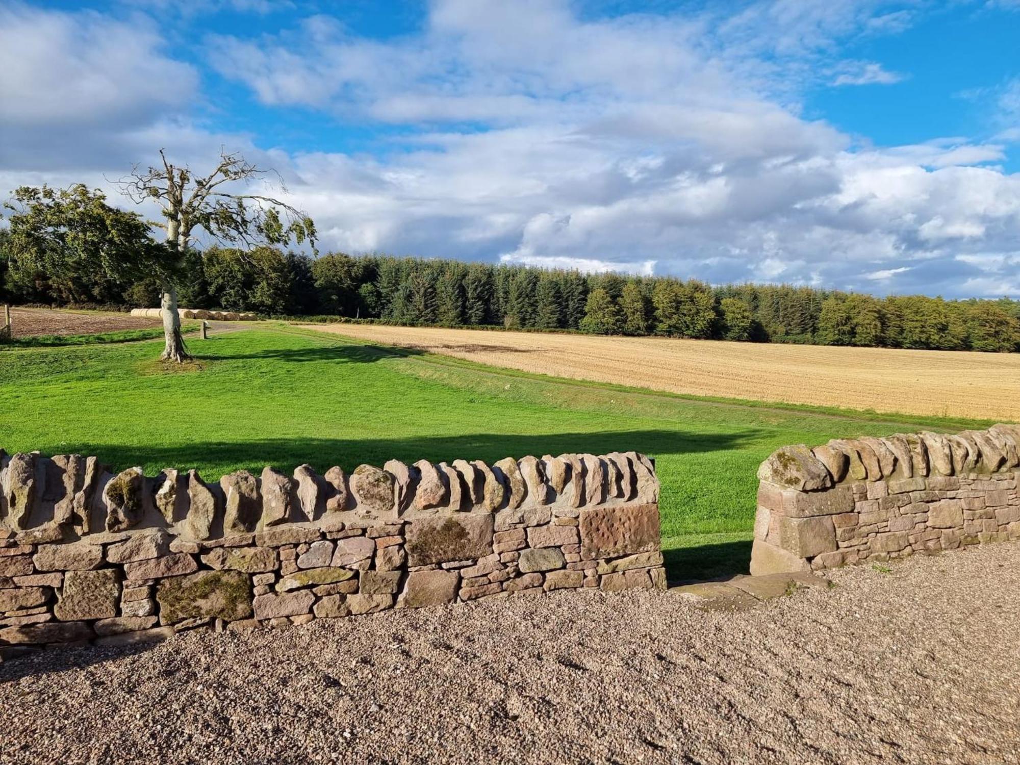 Muirton Cottage Brechin Εξωτερικό φωτογραφία